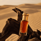 OMBRE NOMADE 12ML